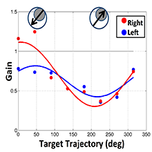 Graph showing smooth pursuit gain modulation in subjects with AMD