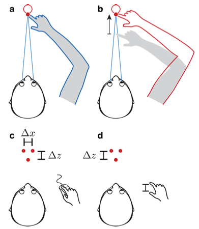 visuomotoradapt