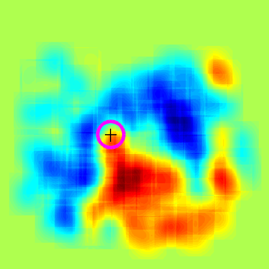 Characteristics of Smooth Pursuit in Individuals with Central Field Loss