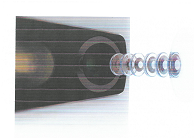 gus_image_8