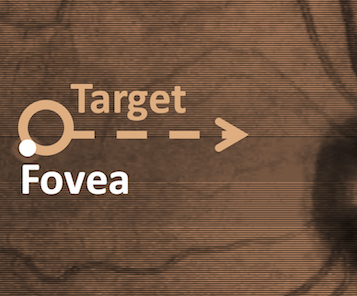 Image of the retina with a centroid target superimposed. The fovea is off-center from the target.