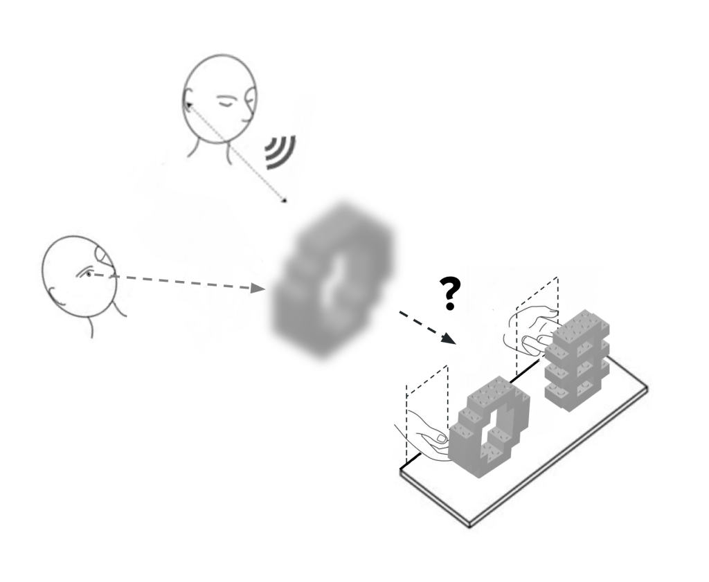 Schematic diagram of a study showing inspection of an object by echolocation or vision, then discrimination by touch.