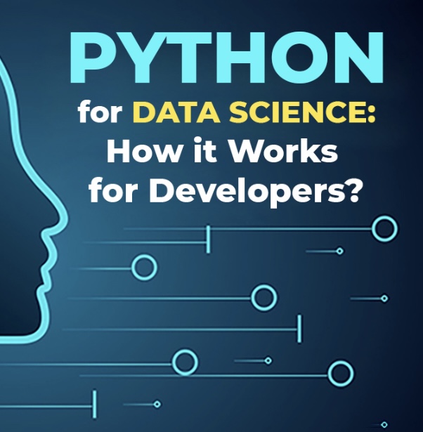 Text: PYTHON. Abstract schematic showing person's head in profile facing symbols representing data